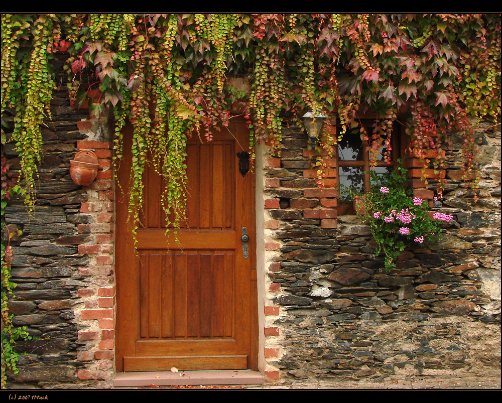 Herbst in Detzem/Mosel #1