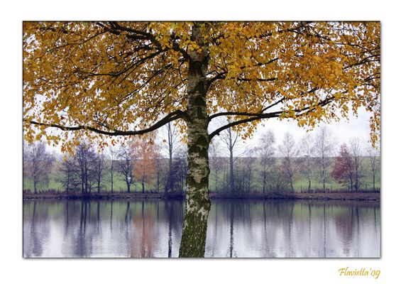 Herbst in Deutchland