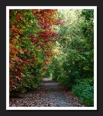 Herbst in Deutschland