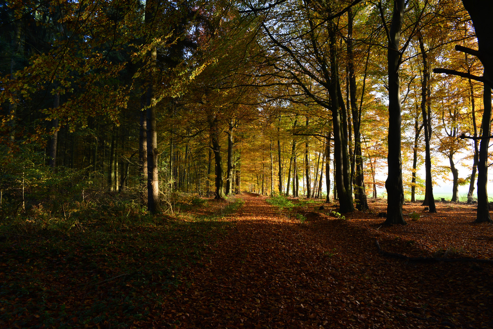 Herbst in Deutschland