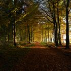 Herbst in Deutschland