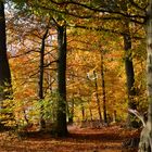 Herbst in Deutschland die 2 te