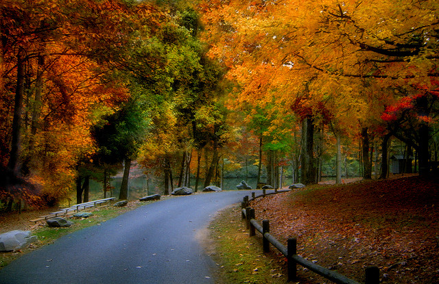 Herbst in die Belgische Ardennen