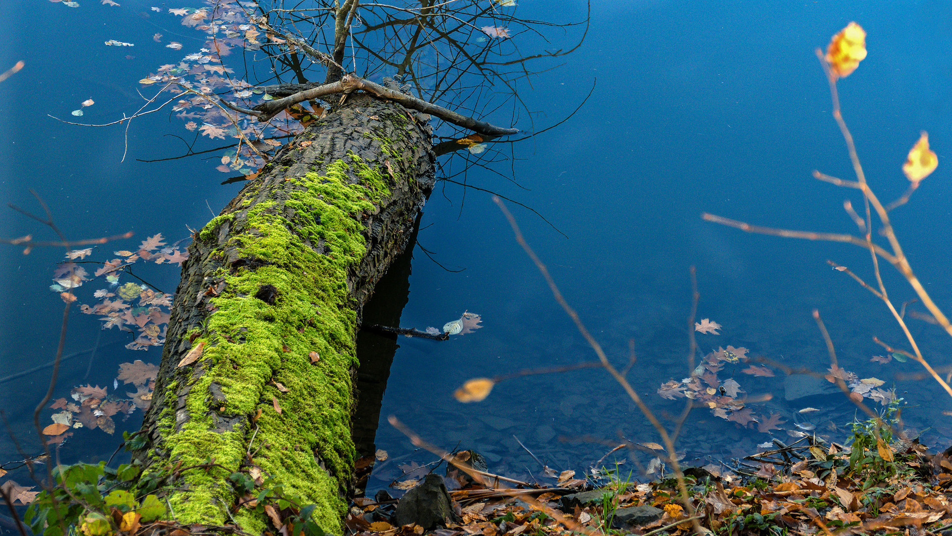 Herbst in Diepental