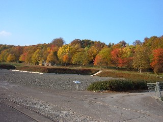 Herbst in Dora