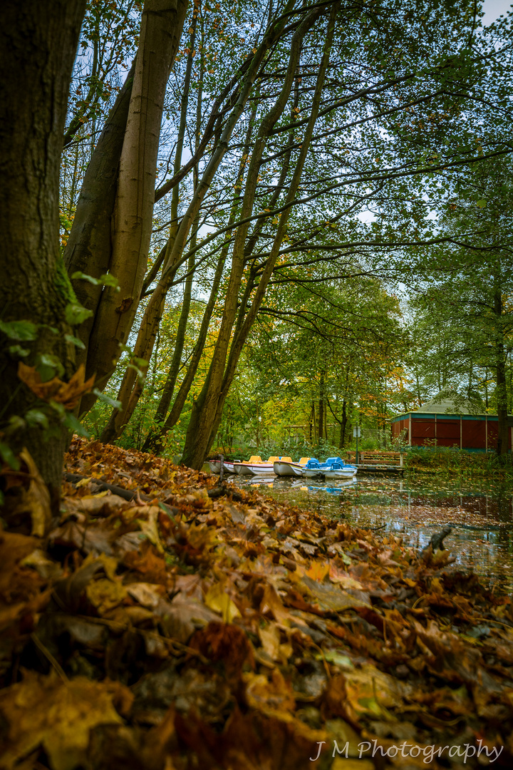 Herbst in Dortmund