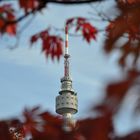 Herbst in Dortmund