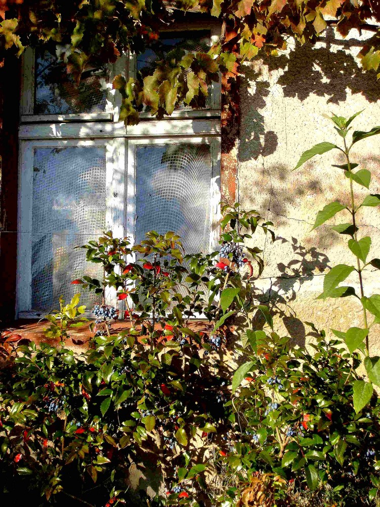 Herbst in Drahendorf