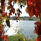 Herbst in Dresden 