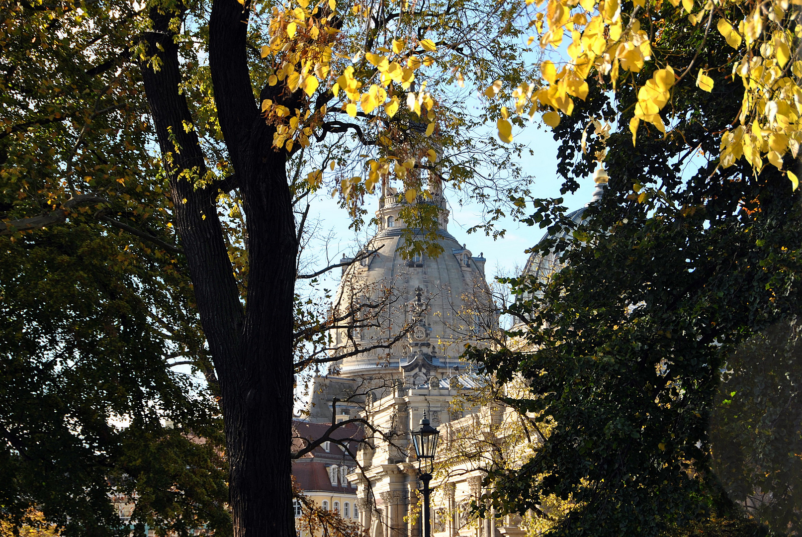 Herbst in Dresden