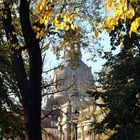 Herbst in Dresden