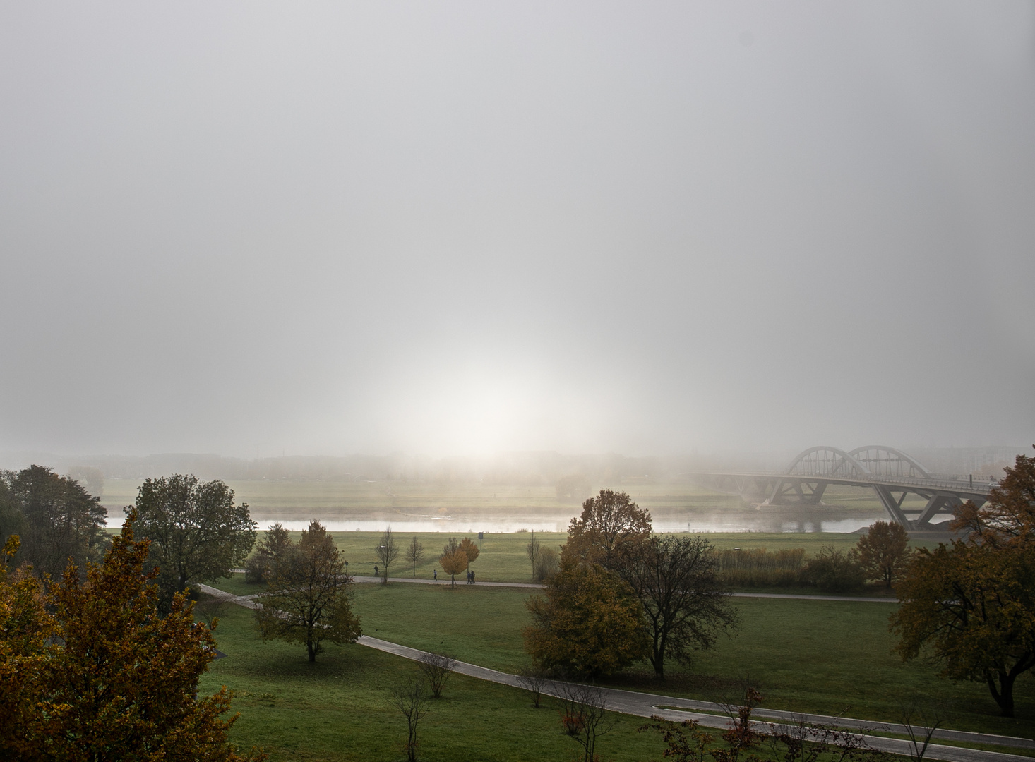 Herbst in Dresden