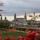 Herbst in Dresden