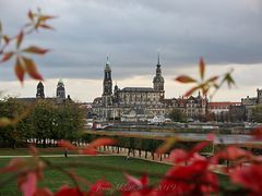 Herbst in Dresden