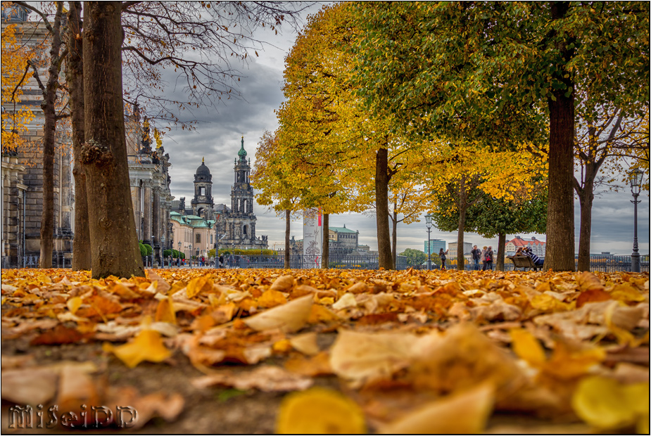 Herbst in Dresden