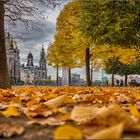 Herbst in Dresden