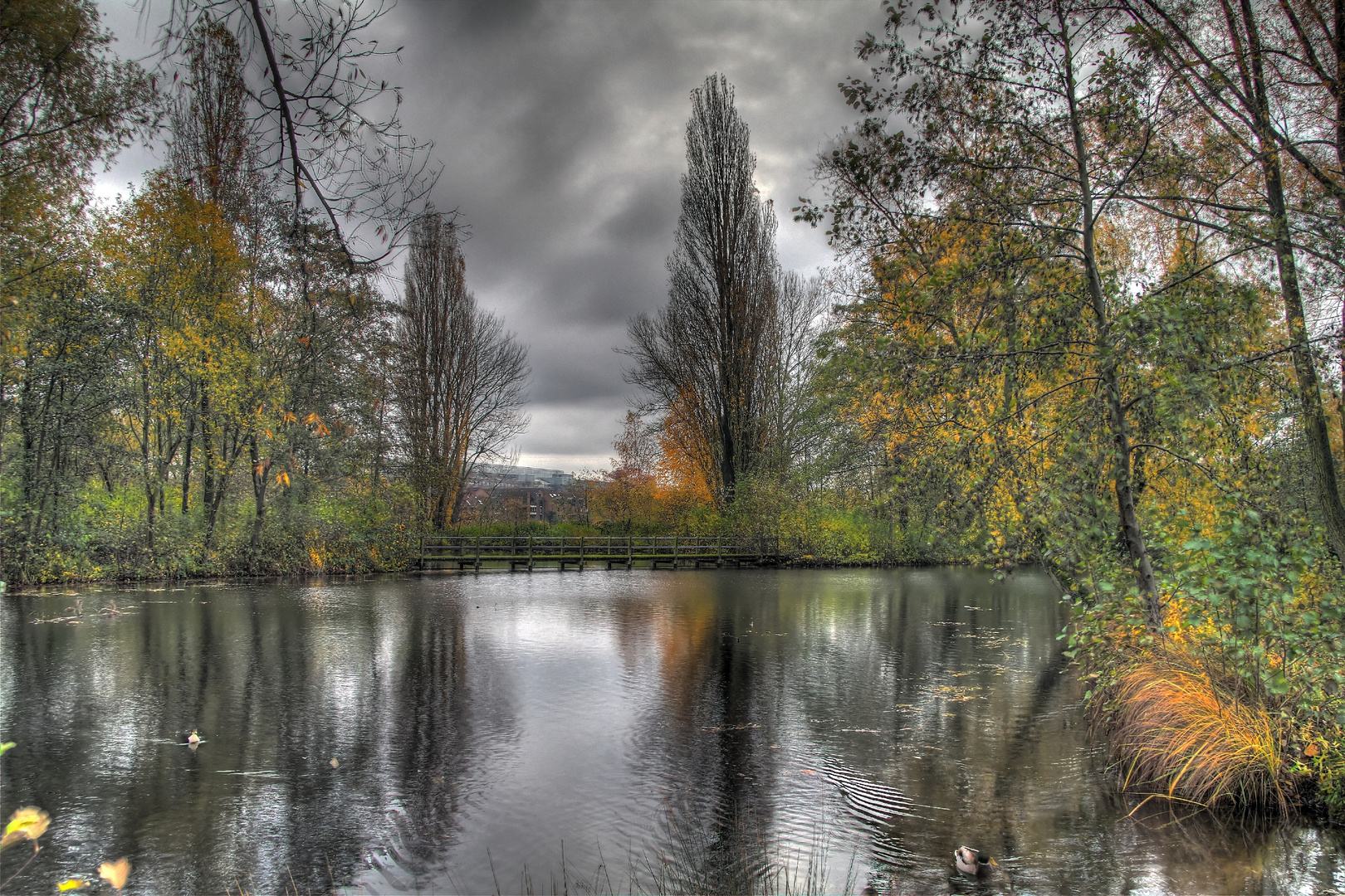 Herbst in Düsseldorf 1