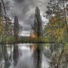 Herbst in Düsseldorf 1