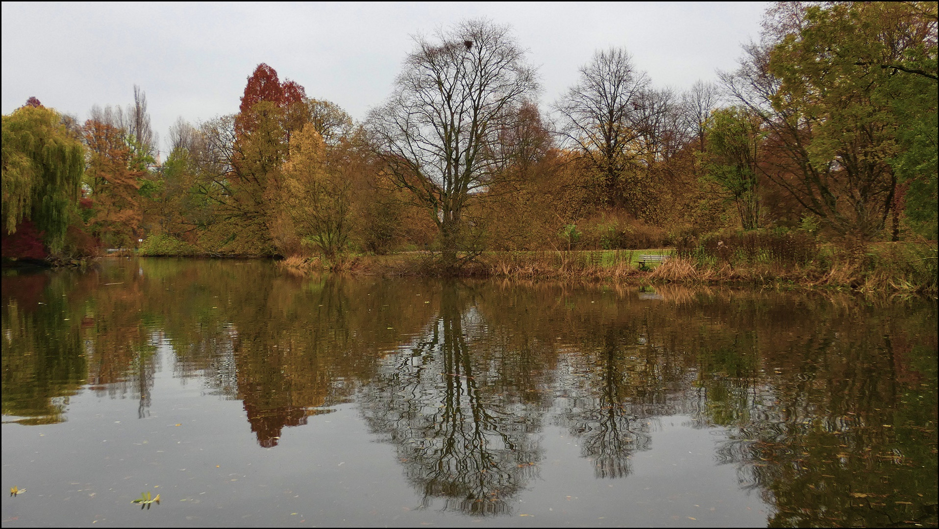 Herbst in Düsseldorf