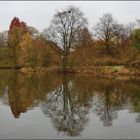 Herbst in Düsseldorf