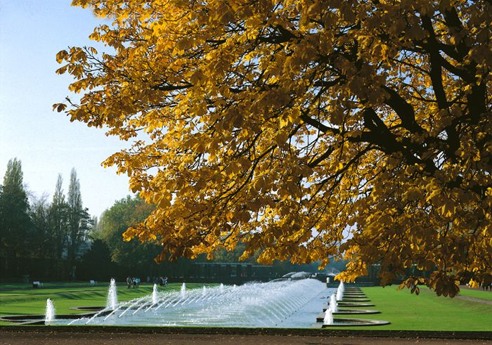 Herbst in Düsseldorf