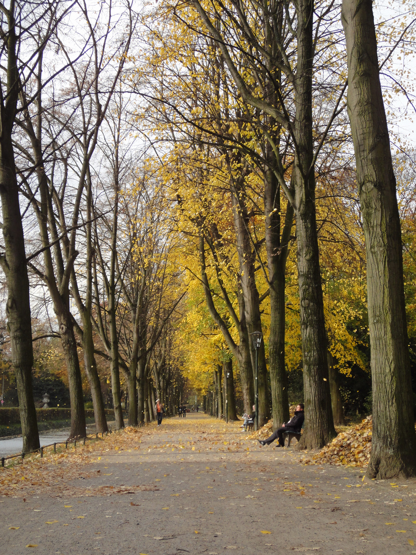 Herbst in Düsseldorf - Hofgarten