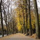 Herbst in Düsseldorf - Hofgarten