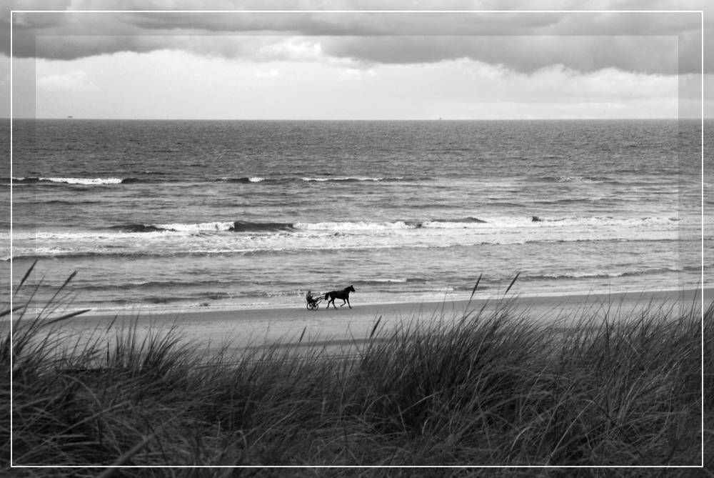 Herbst in Egmond aan Zee 1