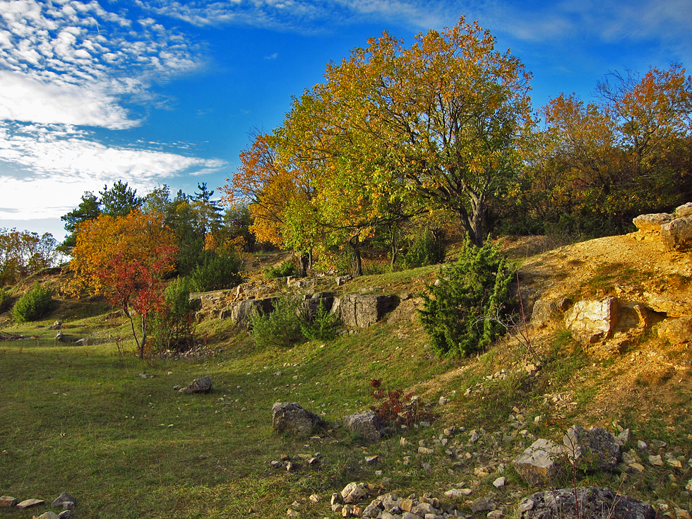 Herbst in einem alten Steinbruch