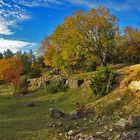 Herbst in einem alten Steinbruch