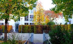 Herbst in einem Kölner Wohnpark