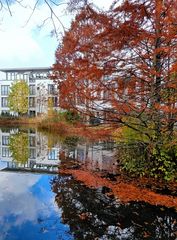 Herbst in einer Kölner Wohnanlage 2