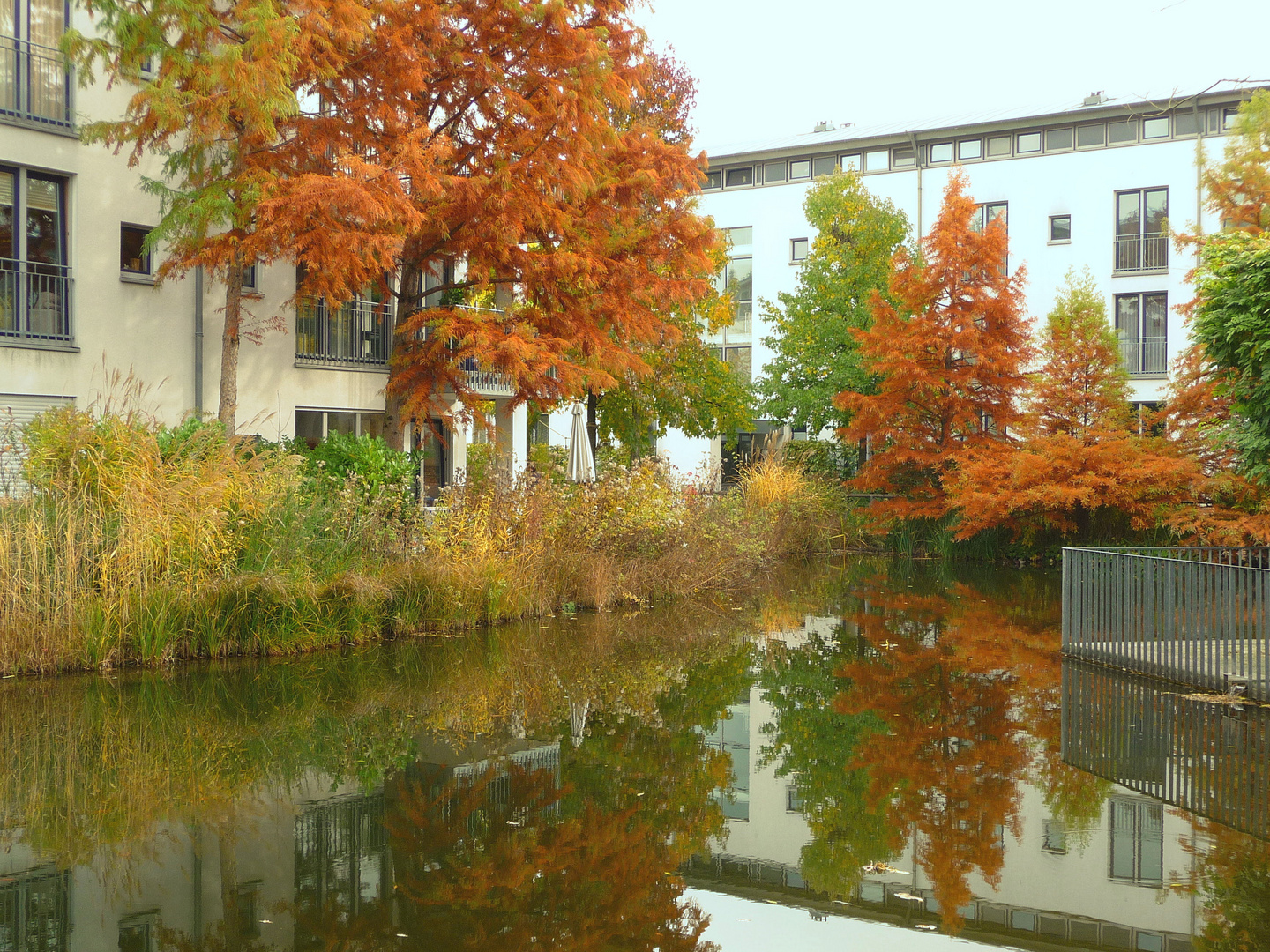 Herbst in einer Kölner Wohnanlage 2