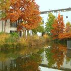 Herbst in einer Kölner Wohnanlage 2