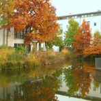 Herbst in einer Kölner Wohnanlage 2