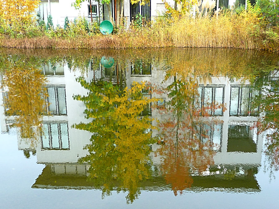 Herbst in einer Kölner Wohnanlage 3