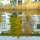 Herbst in einer Kölner Wohnanlage 3