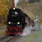 Herbst in Eisfelder Talmühle.