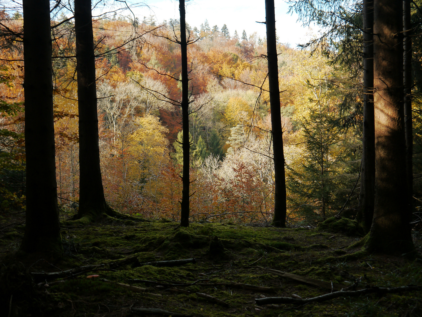 Herbst in Elgg