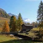 Herbst in Engadin 2