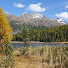 Herbst in Engadin 4