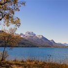 Herbst in Engadin