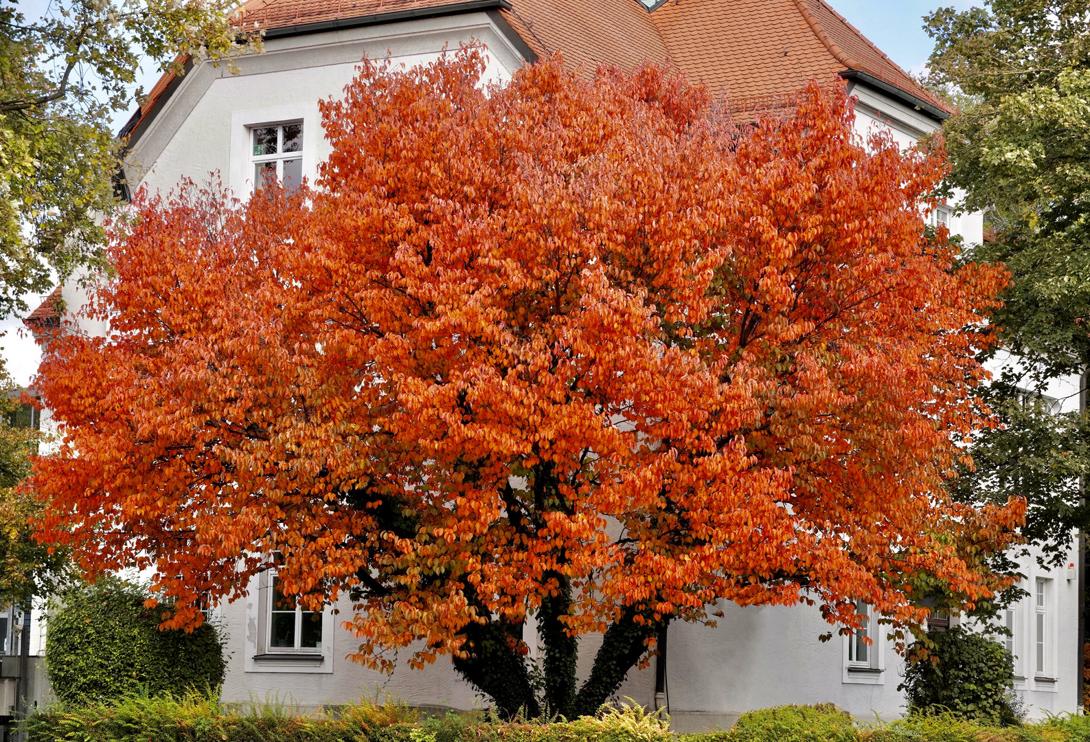 Herbst in Erding (1)