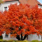 Herbst in Erding (1)