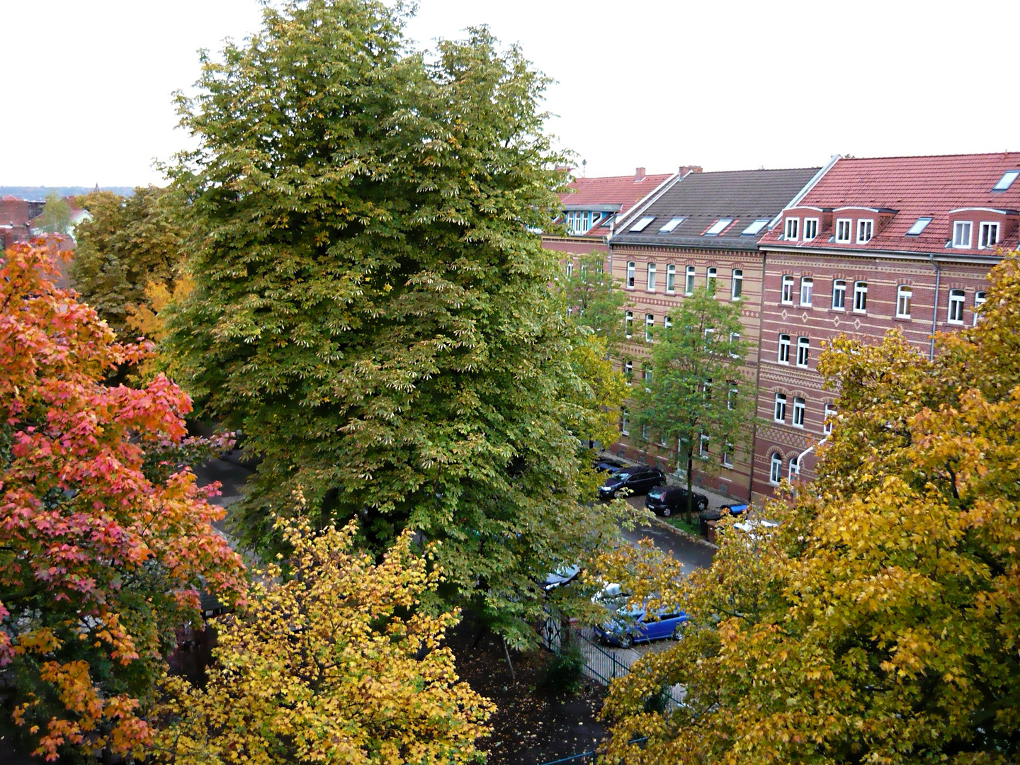 Herbst in Erfurt 2013