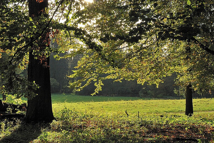 Herbst in Erkrath