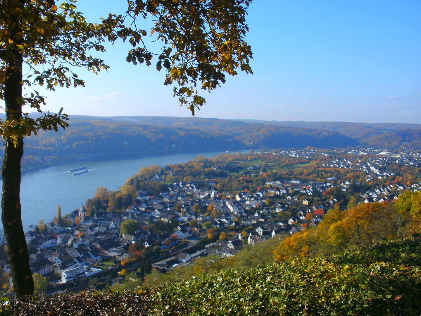 Herbst in Erpel