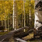 Herbst in Escalante