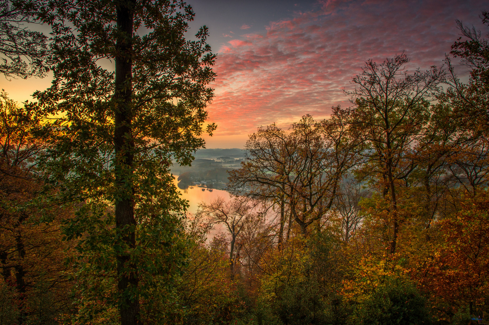 Herbst in Essen