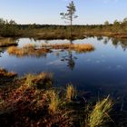 Herbst in Estland